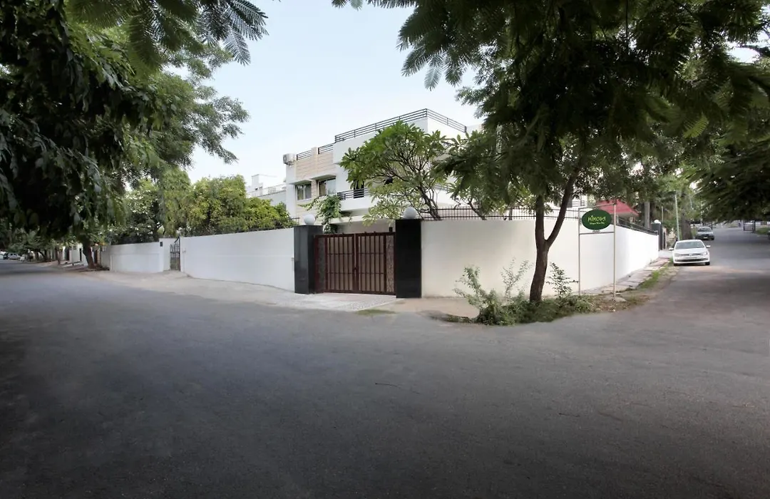 Mimosa Udaipur-1