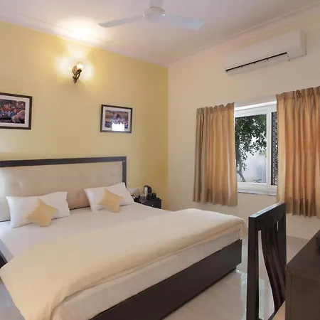 Mimosa Udaipur-2